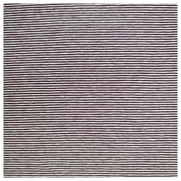 Stoffbox Jersey Pferde mit Waffelstoff Jersey und Bündchen