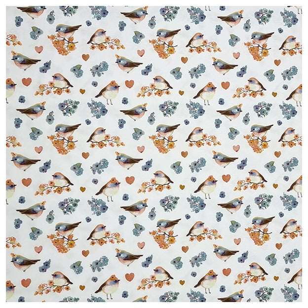 Jersey Stoffpaket Vögel und Streifen mit Bündchen