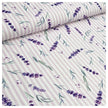 Canvas Digital Lavendel flieder