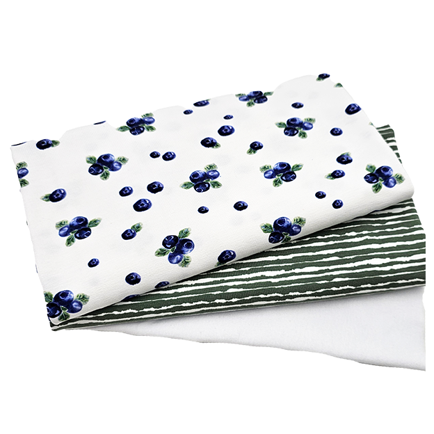 Jersey Stoffpaket Heidelbeeren und streifen mit Bündchen