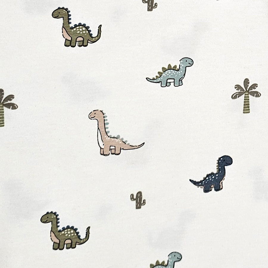 Jersey Stoffpaket Dinosaurier mit Pflanzen und uni mit Bündchen