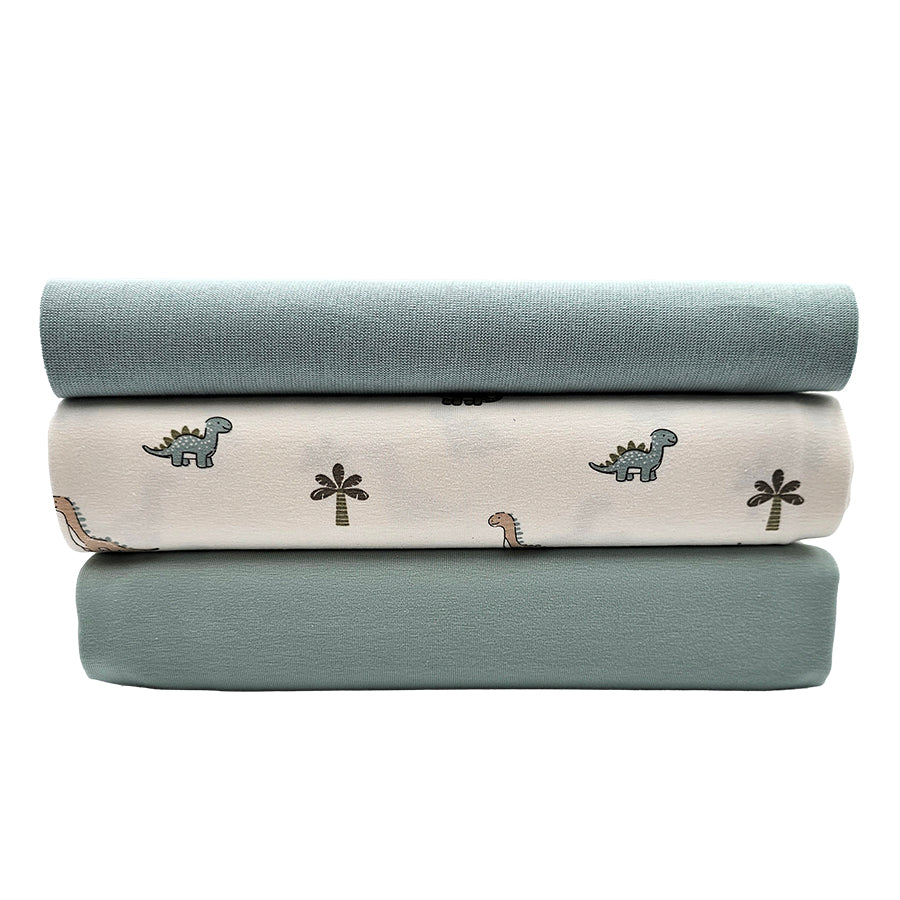 Jersey Stoffpaket Dinosaurier mit Pflanzen und uni mit Bündchen