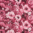 Canvas fein Rosen cherry
