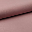 Bündchen nude
