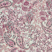 Baumwollsatin Paisley und Pflanzen rouge