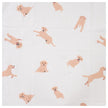 Flannel Hunde