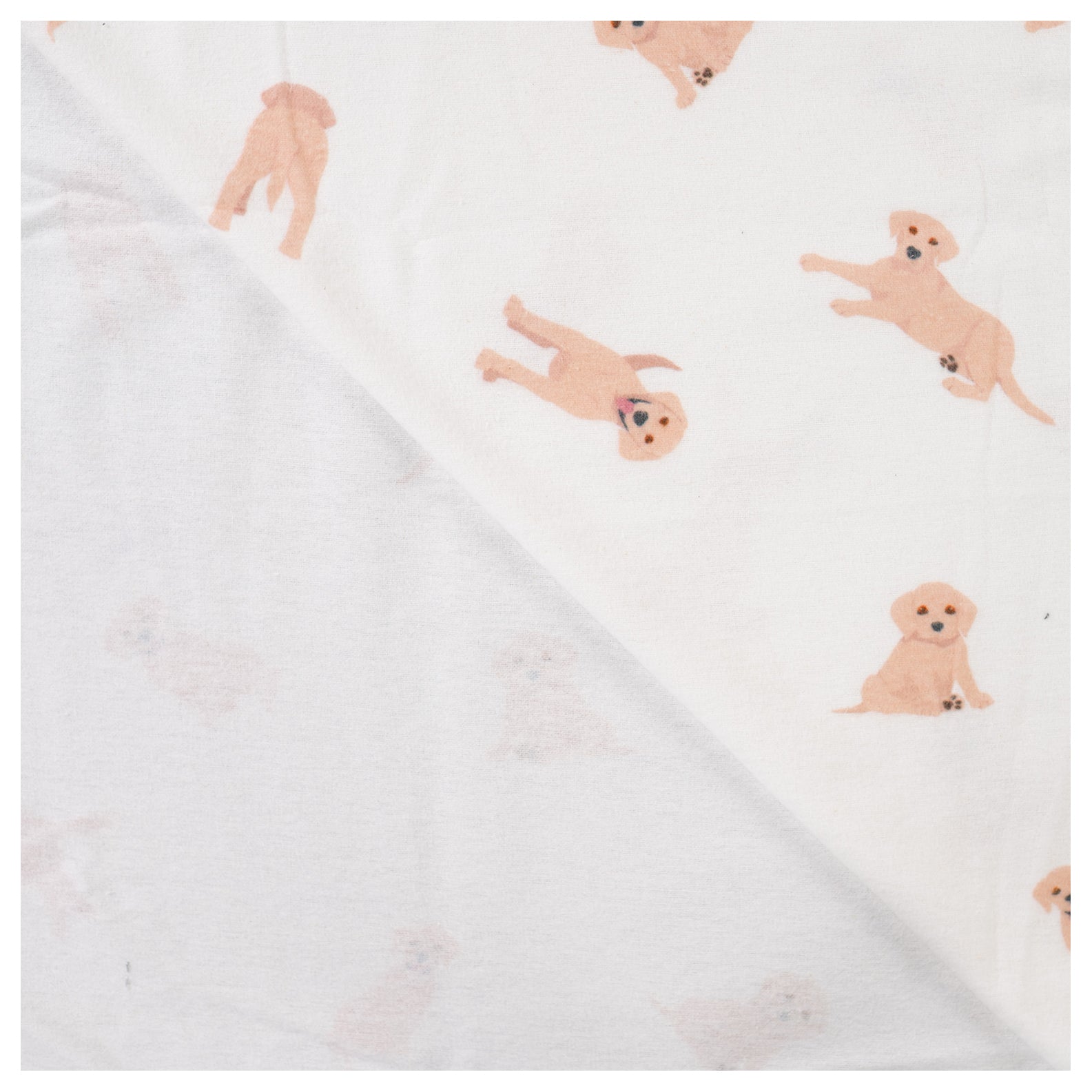 Flannel Hunde