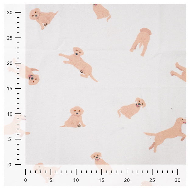 Flannel Hunde