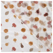 Raincoat transparent Obst