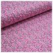 Alpensweat Pflanzen rosa