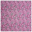 Alpensweat Pflanzen rosa