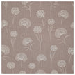 Canvas Pusteblumen