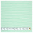 Jersey Streifen mint/weiß 2mm